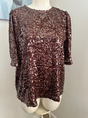 LOFT Brown Sequin Short Sleeve Top